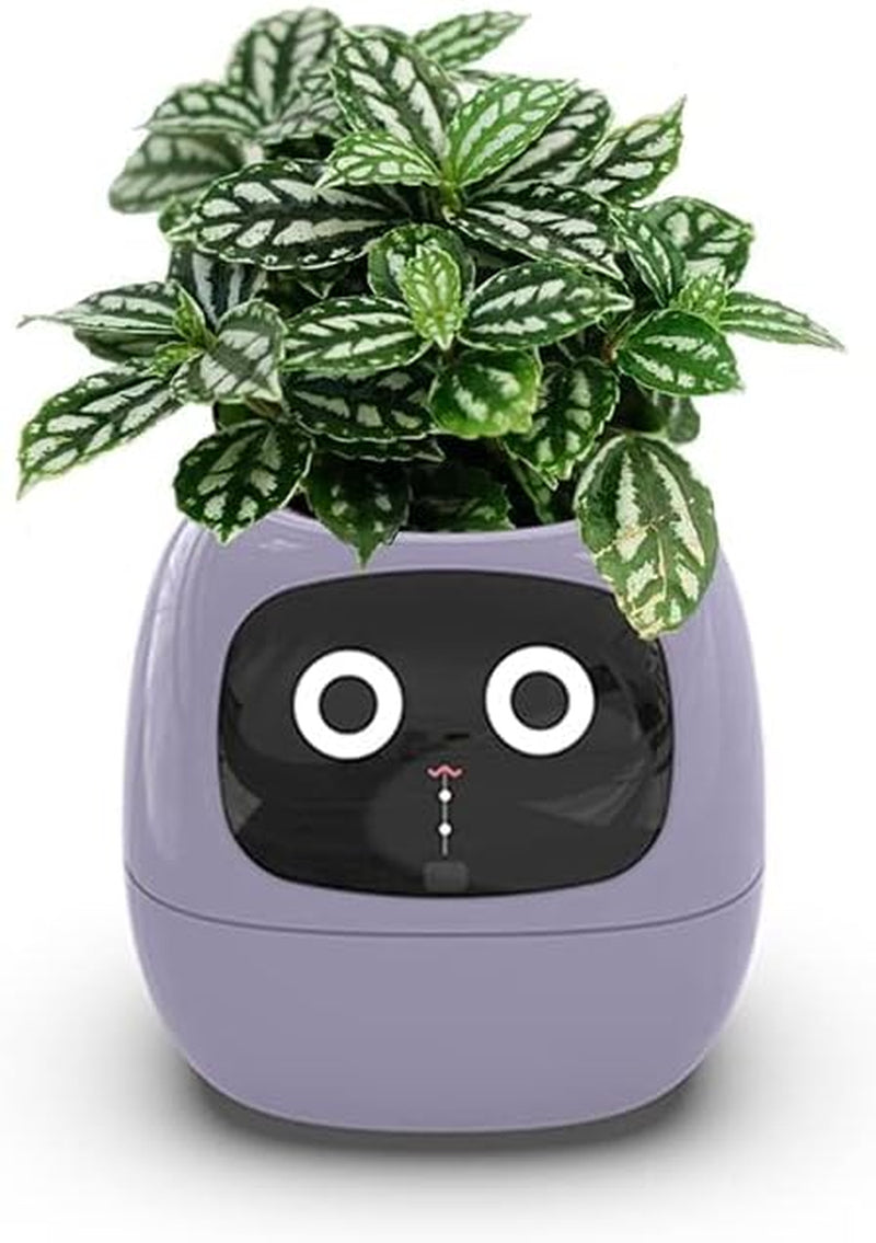 Smart Flowerpot with AI Planter, Multiple Expressions, 7 Sensors, and Chips - Intelligent Pet Planter for Easy Plant Raising in Living Room (Purple, Plant-Free)